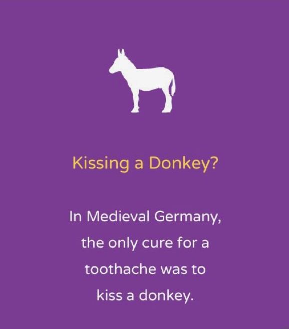 Kissing a donkey