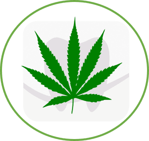 Cannabis and Oral Health Icon